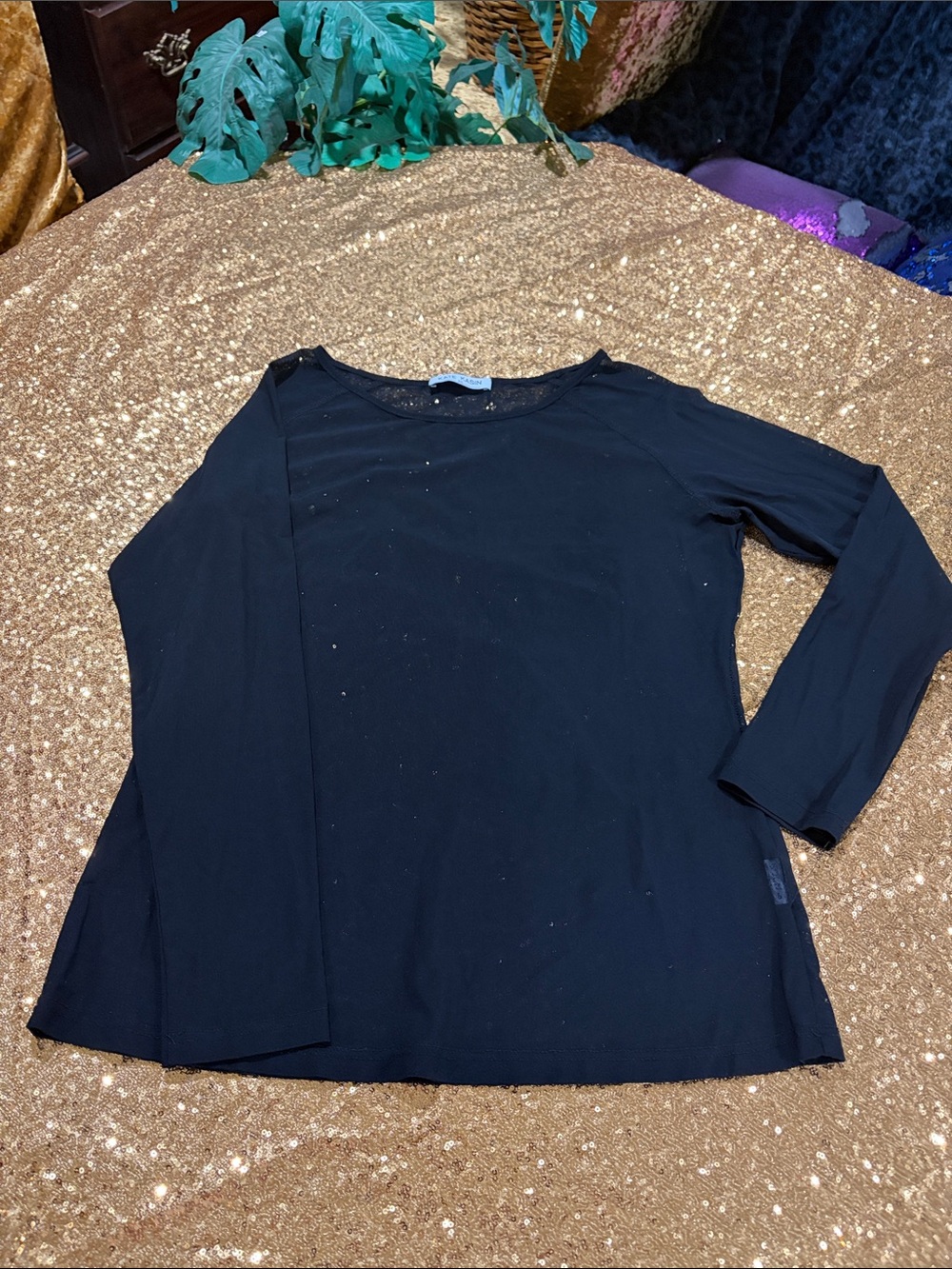 Classic Sheer Black Long-Sleeve Boatneck Top
